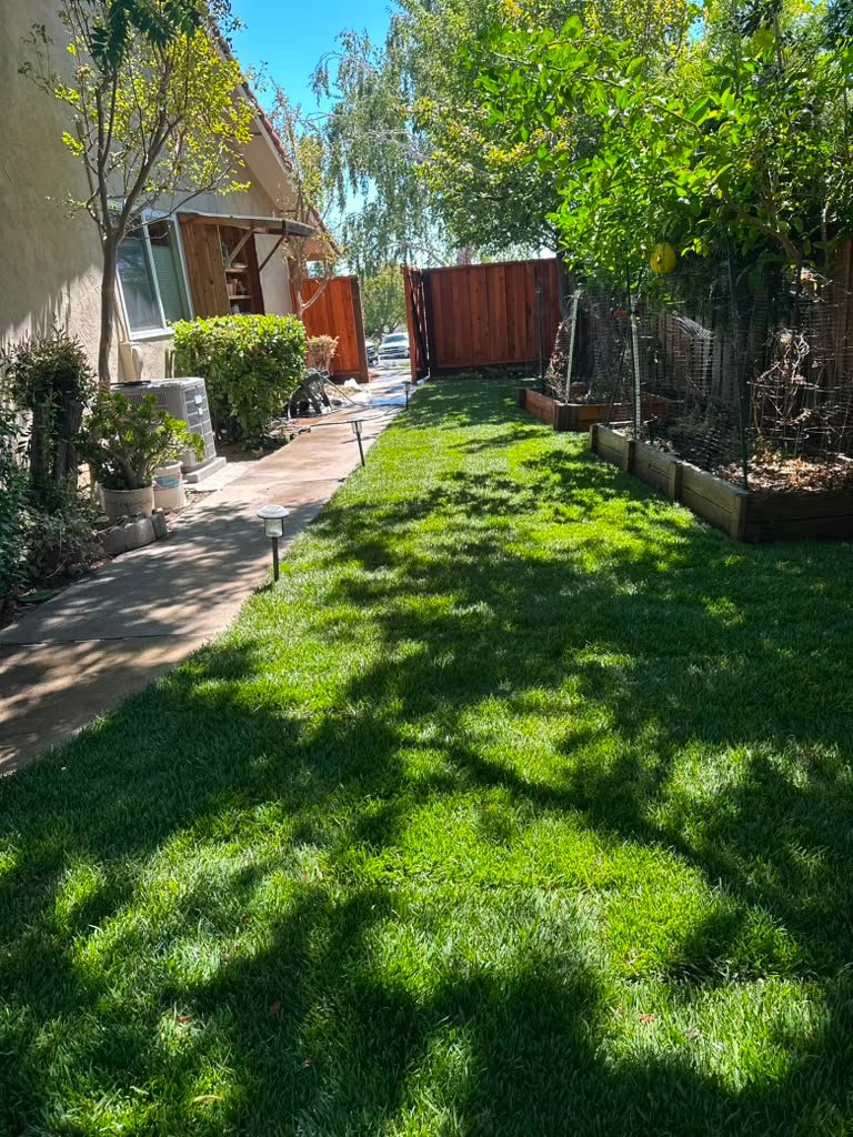 Landscaping project by HC Gardening & Landscaping in the East Bay Area