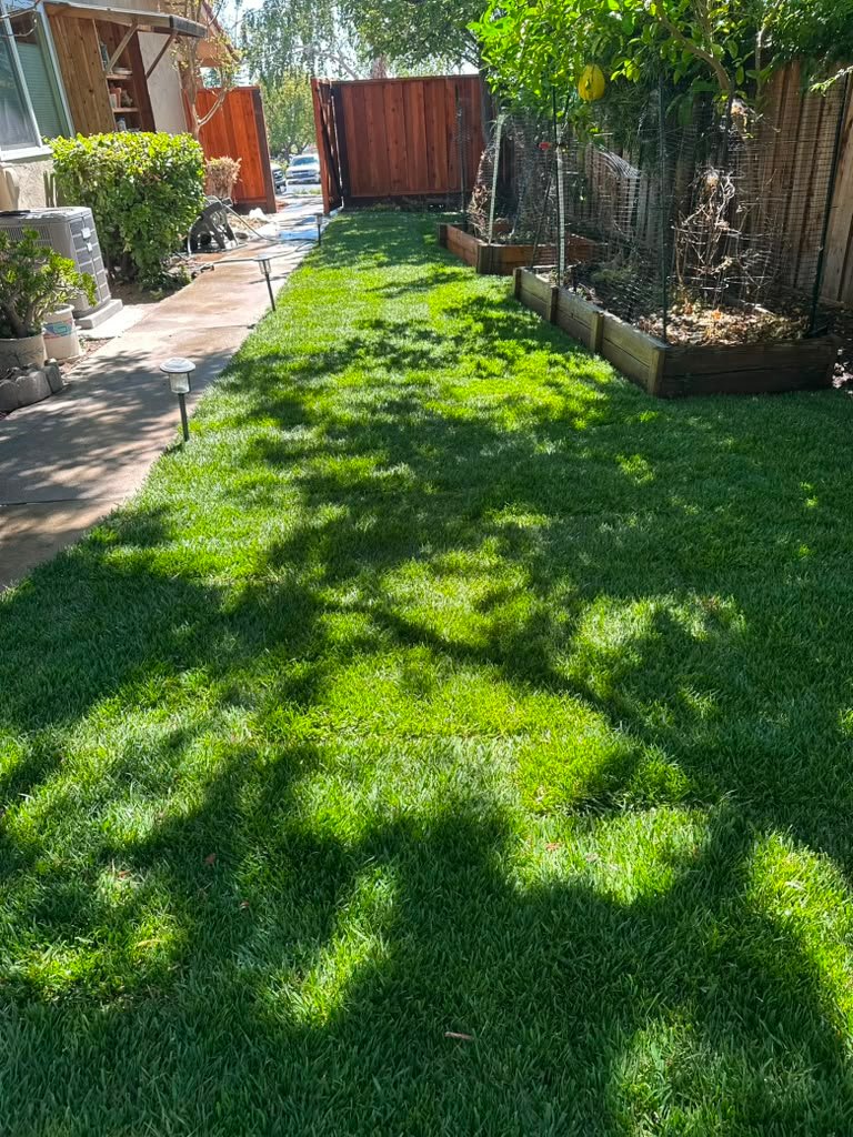 Landscaping project by HC Gardening & Landscaping in the East Bay Area