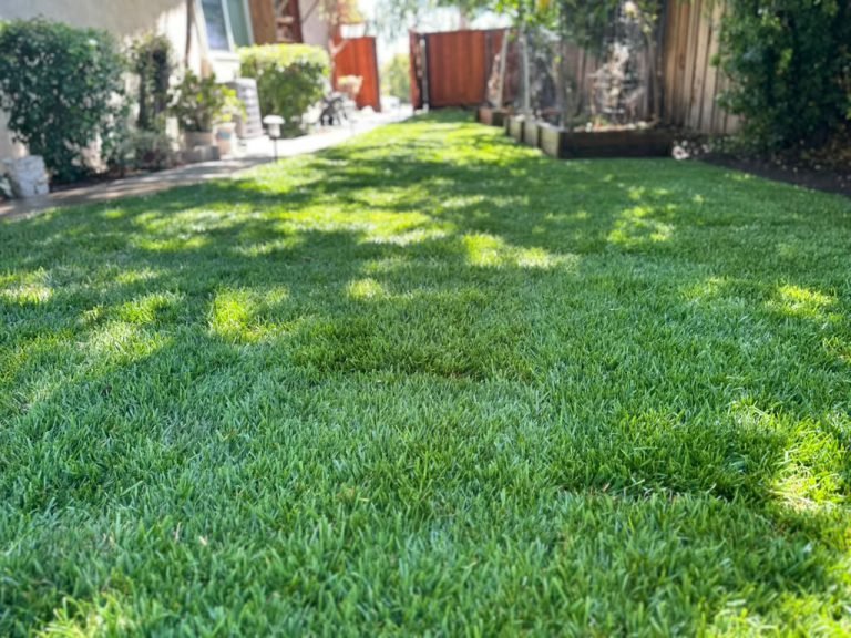 Landscaping project by HC Gardening & Landscaping in the East Bay Area