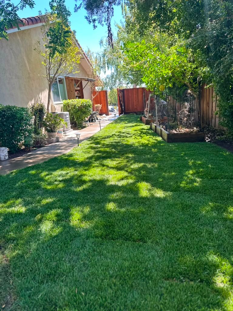 Landscaping project by HC Gardening & Landscaping in the East Bay Area