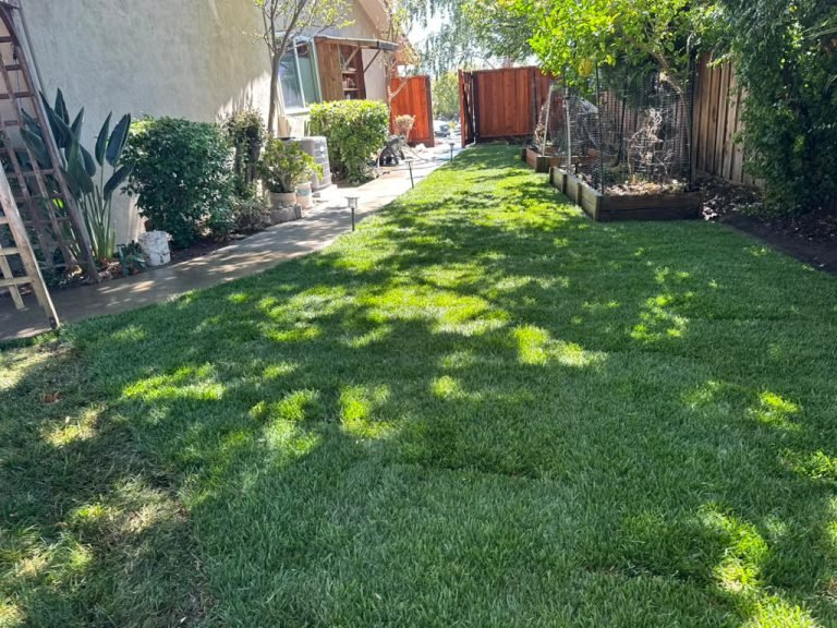 Landscaping project by HC Gardening & Landscaping in the East Bay Area