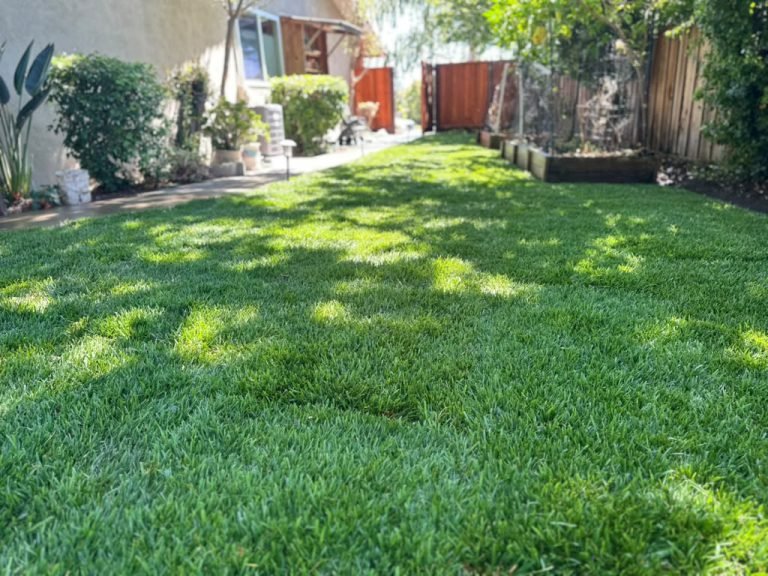 Landscaping project by HC Gardening & Landscaping in the East Bay Area