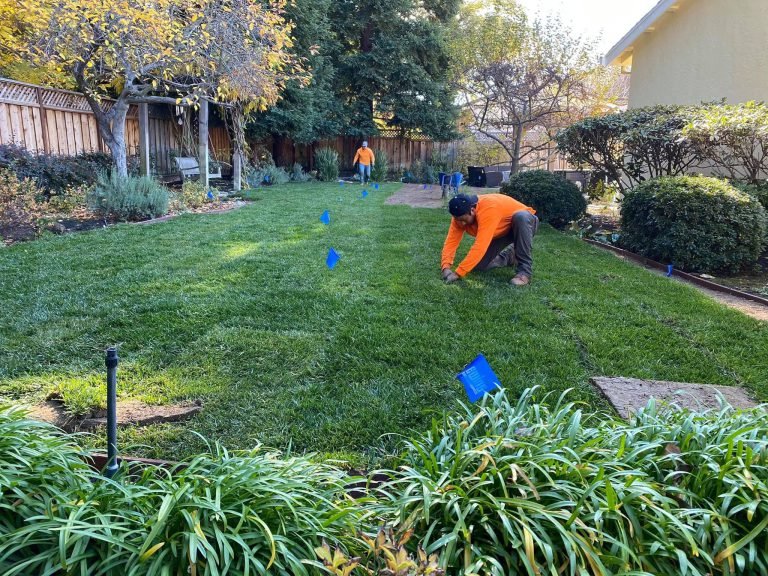 Landscaping project by HC Gardening & Landscaping in the East Bay Area