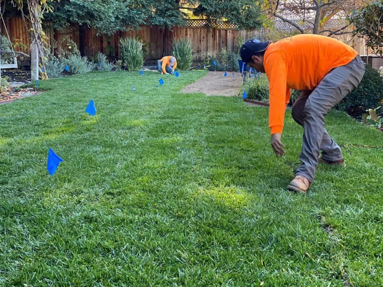 Landscaping project by HC Gardening & Landscaping in the East Bay Area
