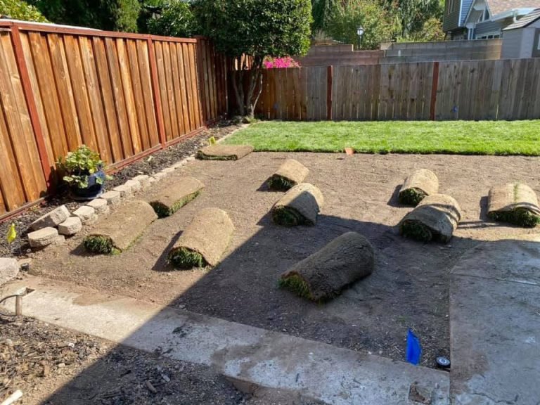 Landscaping project by HC Gardening & Landscaping in the East Bay Area