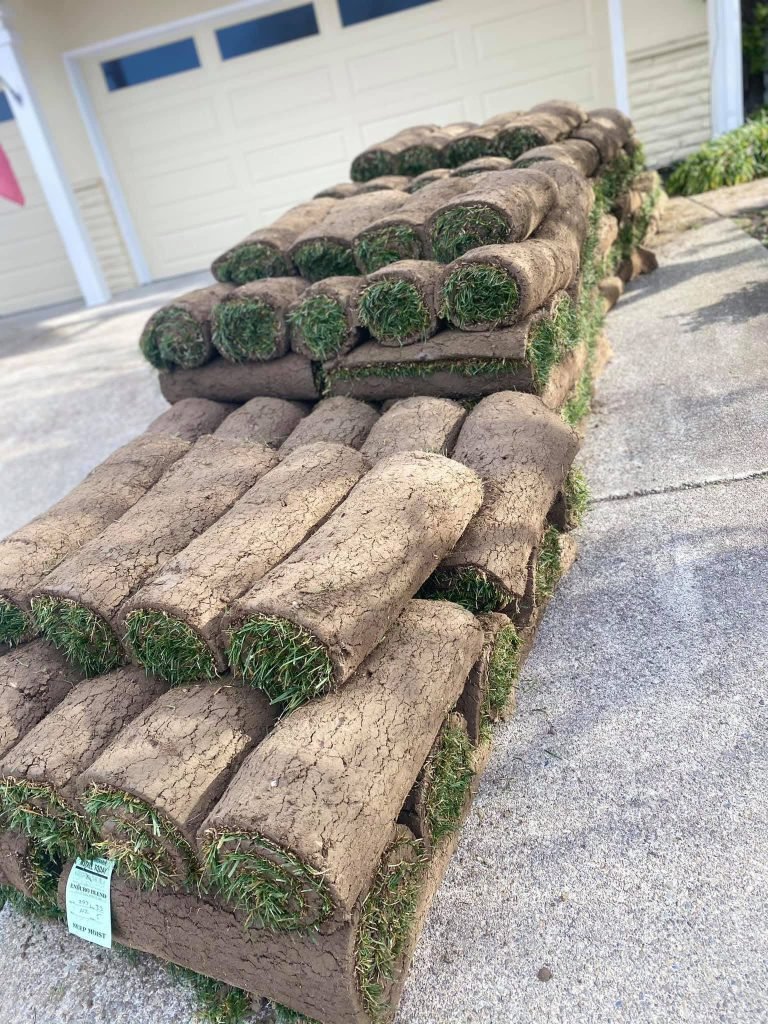 Landscaping project by HC Gardening & Landscaping in the East Bay Area