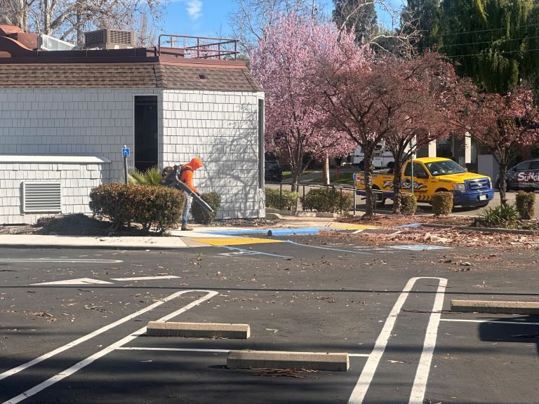 Landscaping project by HC Gardening & Landscaping in the East Bay Area