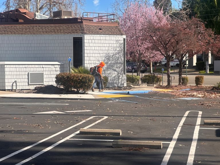 Landscaping project by HC Gardening & Landscaping in the East Bay Area