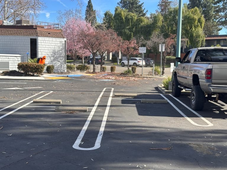 Landscaping project by HC Gardening & Landscaping in the East Bay Area