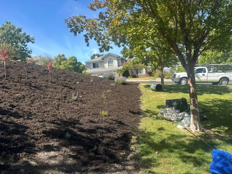 Landscaping project by HC Gardening & Landscaping in the East Bay Area