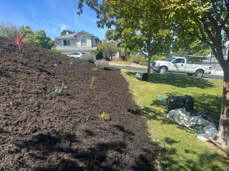 Landscaping project by HC Gardening & Landscaping in the East Bay Area