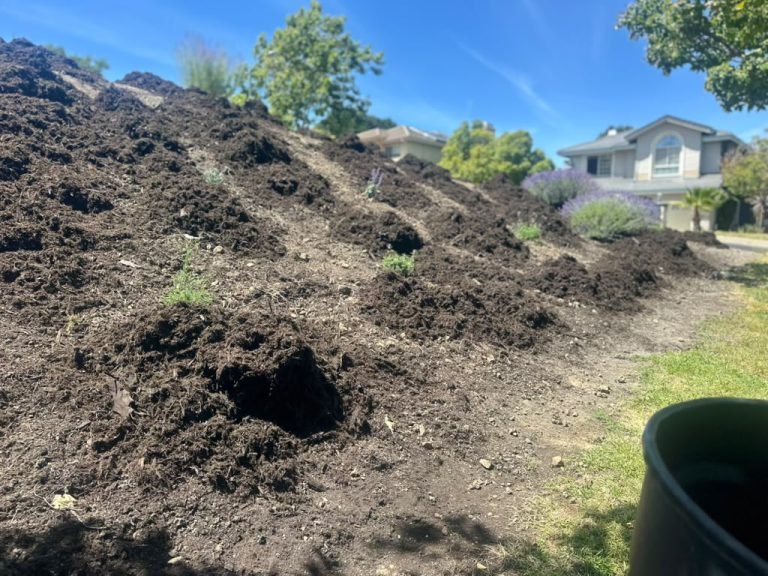 Landscaping project by HC Gardening & Landscaping in the East Bay Area