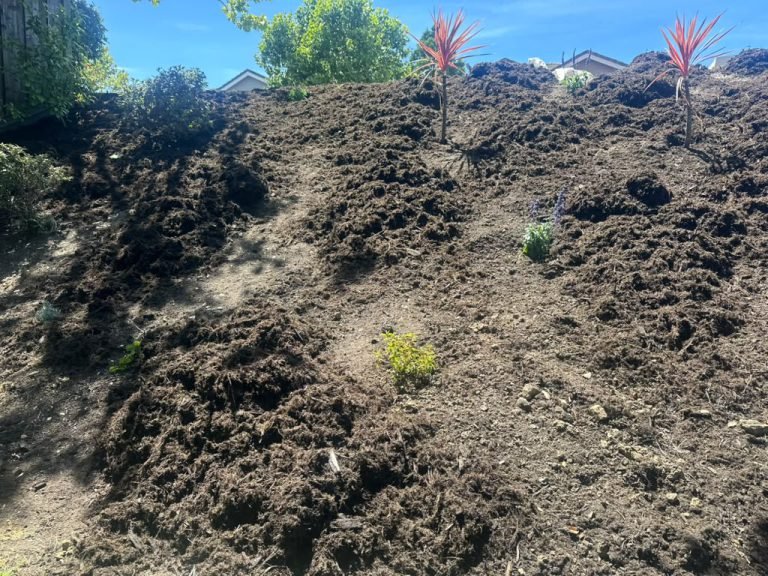 Landscaping project by HC Gardening & Landscaping in the East Bay Area