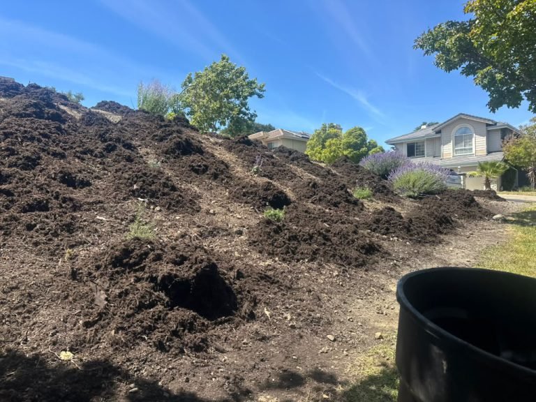 Landscaping project by HC Gardening & Landscaping in the East Bay Area
