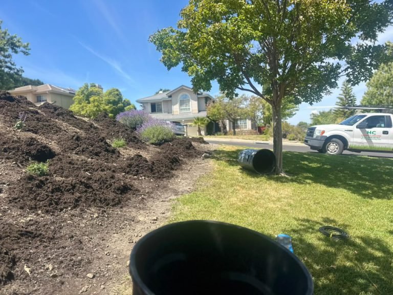 Landscaping project by HC Gardening & Landscaping in the East Bay Area
