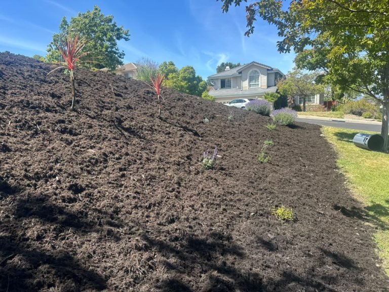 Landscaping project by HC Gardening & Landscaping in the East Bay Area