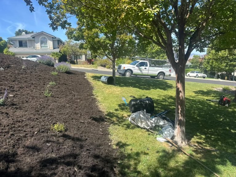 Landscaping project by HC Gardening & Landscaping in the East Bay Area