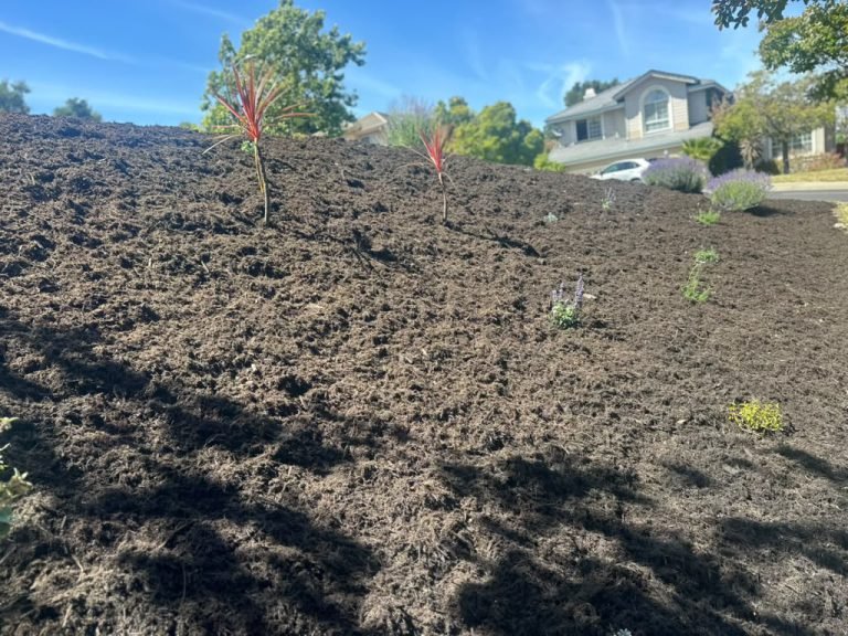 Landscaping project by HC Gardening & Landscaping in the East Bay Area