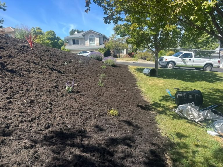 Landscaping project by HC Gardening & Landscaping in the East Bay Area
