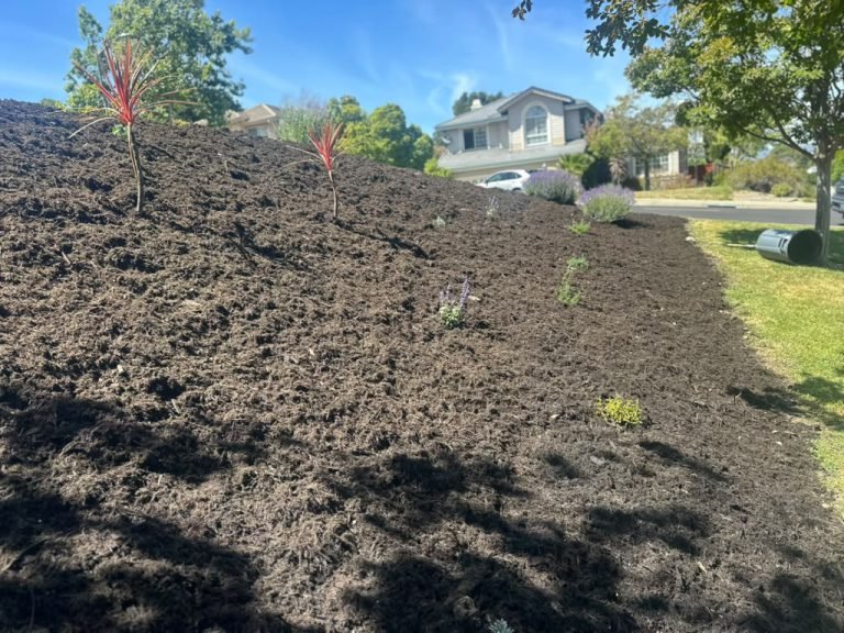 Landscaping project by HC Gardening & Landscaping in the East Bay Area