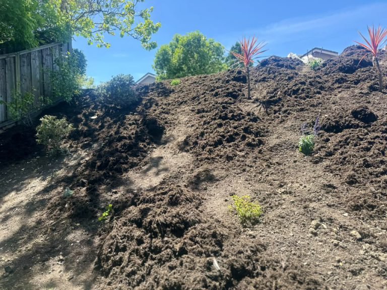 Landscaping project by HC Gardening & Landscaping in the East Bay Area