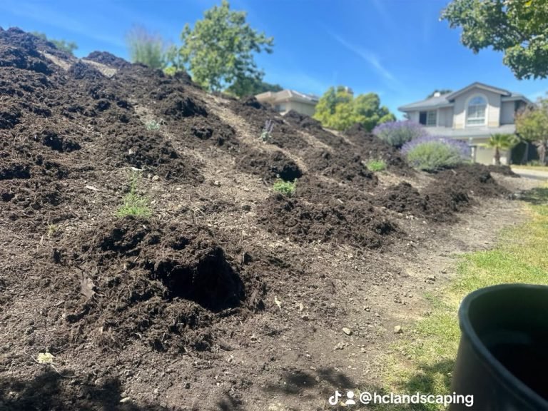 Landscaping project by HC Gardening & Landscaping in the East Bay Area