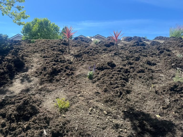 Landscaping project by HC Gardening & Landscaping in the East Bay Area