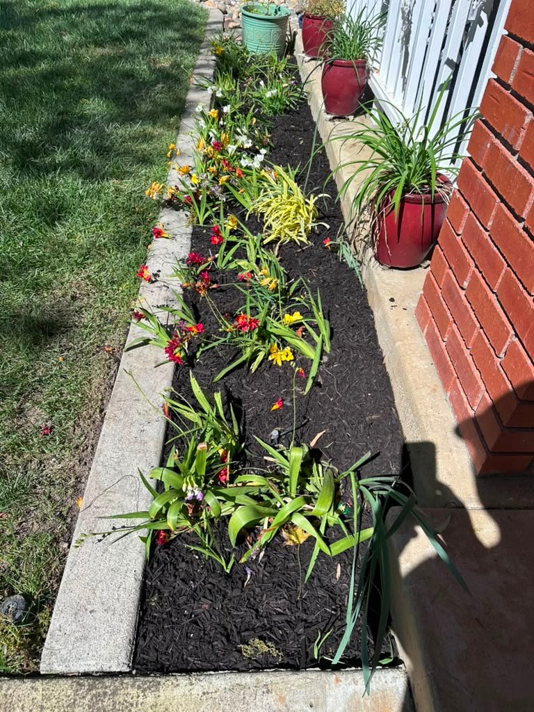 Landscaping project by HC Gardening & Landscaping in the East Bay Area