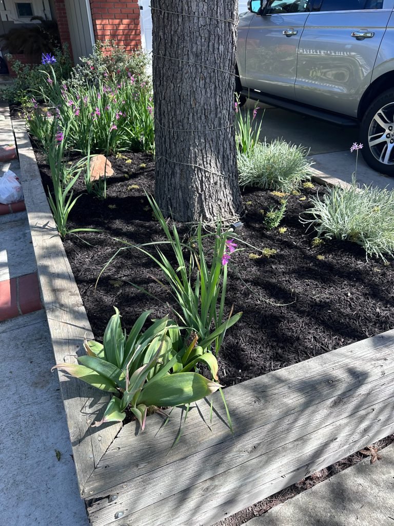 Landscaping project by HC Gardening & Landscaping in the East Bay Area