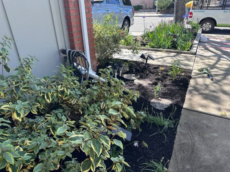 Landscaping project by HC Gardening & Landscaping in the East Bay Area