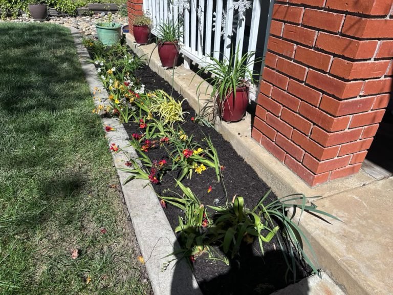 Landscaping project by HC Gardening & Landscaping in the East Bay Area