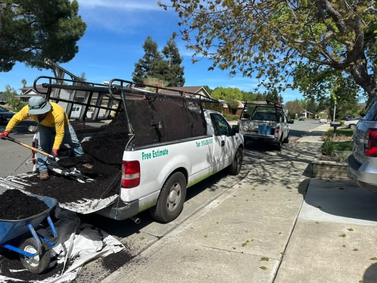 Landscaping project by HC Gardening & Landscaping in the East Bay Area