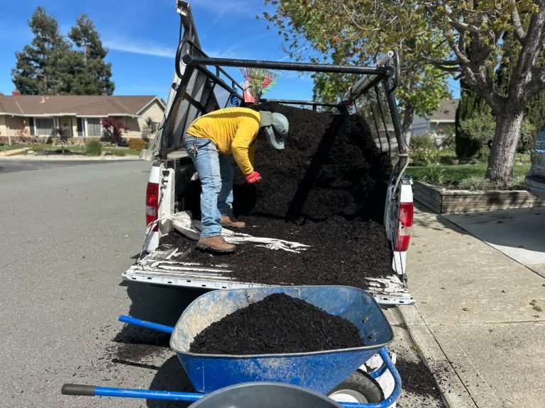 Landscaping project by HC Gardening & Landscaping in the East Bay Area