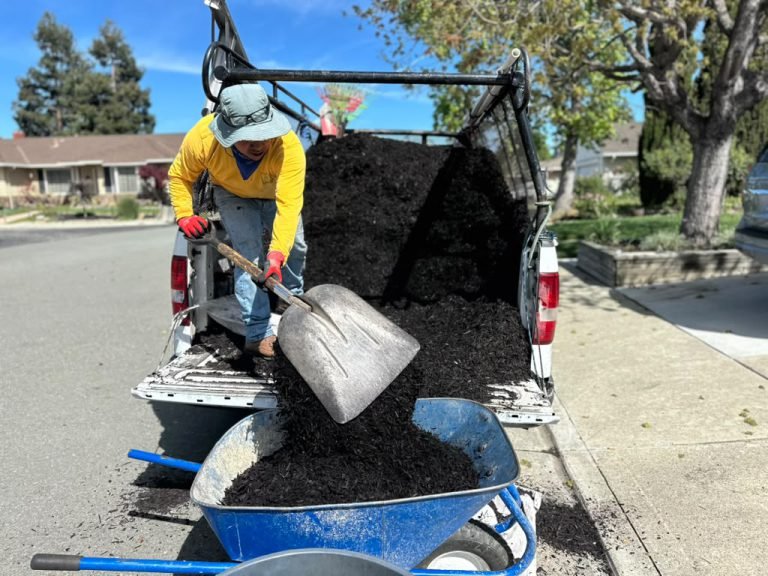Landscaping project by HC Gardening & Landscaping in the East Bay Area