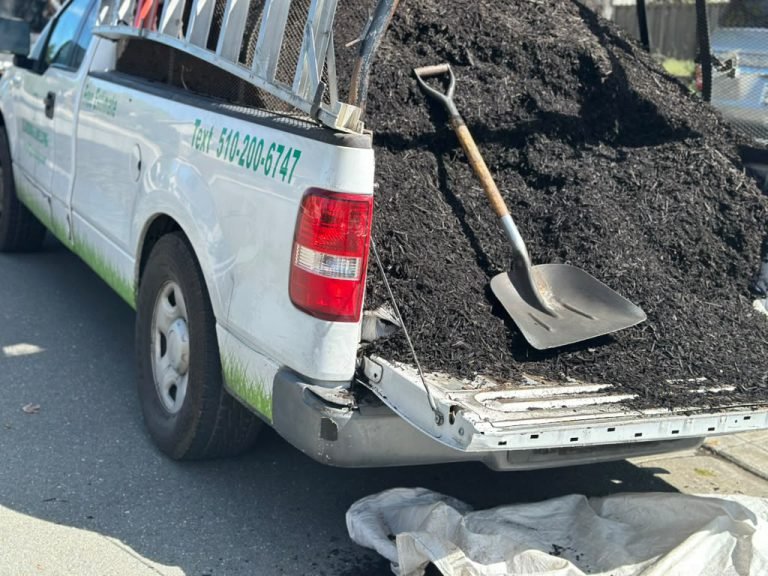 Landscaping project by HC Gardening & Landscaping in the East Bay Area