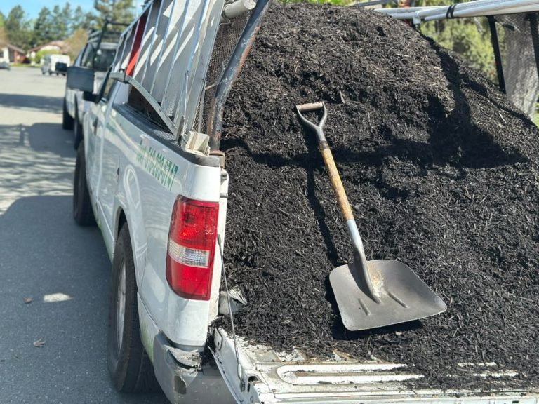 Landscaping project by HC Gardening & Landscaping in the East Bay Area