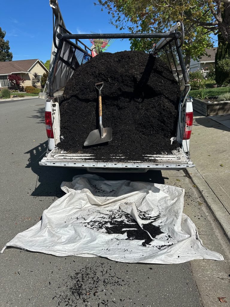 Landscaping project by HC Gardening & Landscaping in the East Bay Area