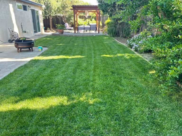 Landscaping project by HC Gardening & Landscaping in the East Bay Area