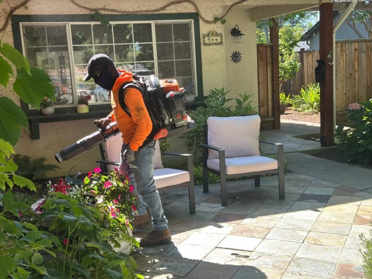 Landscaping project by HC Gardening & Landscaping in the East Bay Area