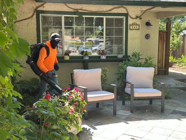 Landscaping project by HC Gardening & Landscaping in the East Bay Area