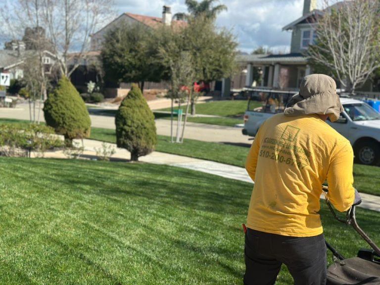 Landscaping project by HC Gardening & Landscaping in the East Bay Area