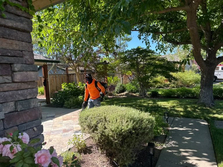Landscaping project by HC Gardening & Landscaping in the East Bay Area