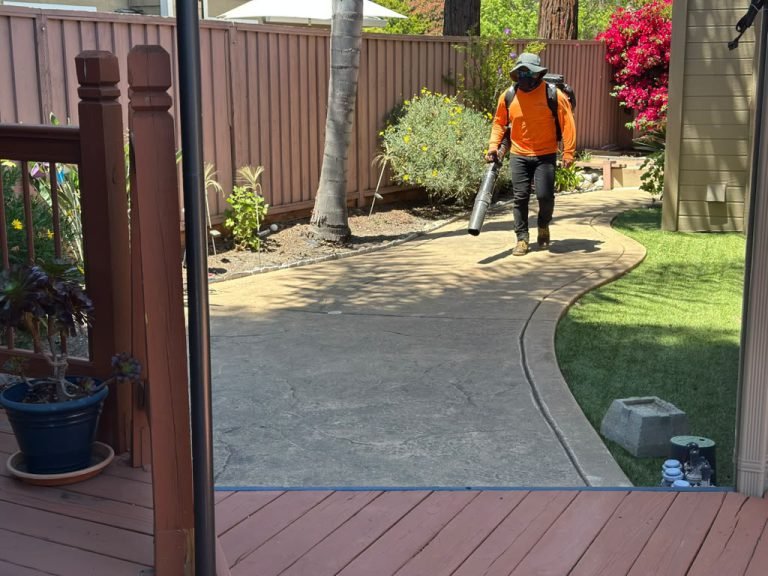 Landscaping project by HC Gardening & Landscaping in the East Bay Area