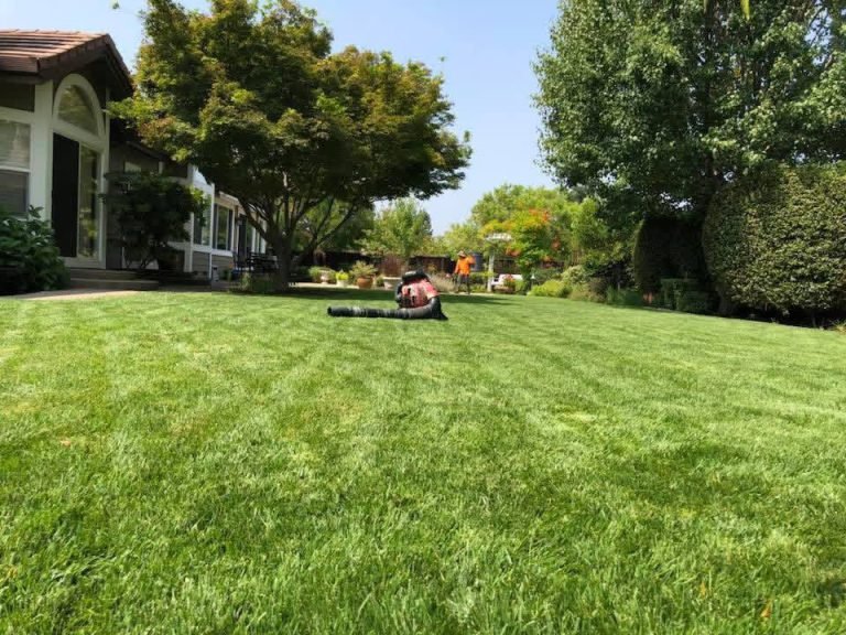 Landscaping project by HC Gardening & Landscaping in the East Bay Area