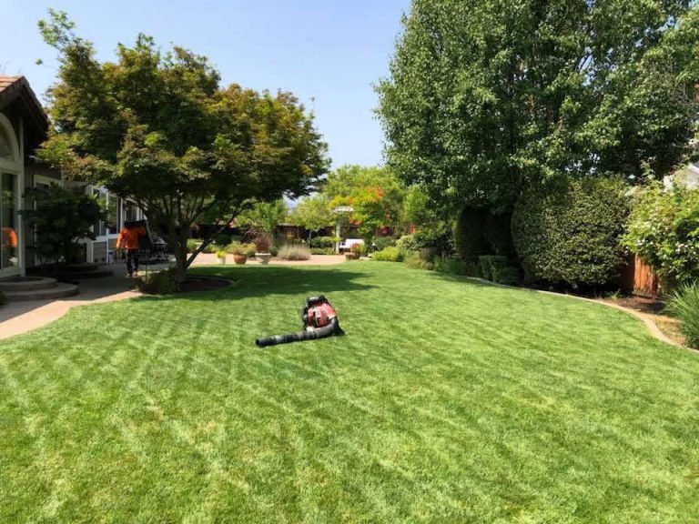 Landscaping project by HC Gardening & Landscaping in the East Bay Area