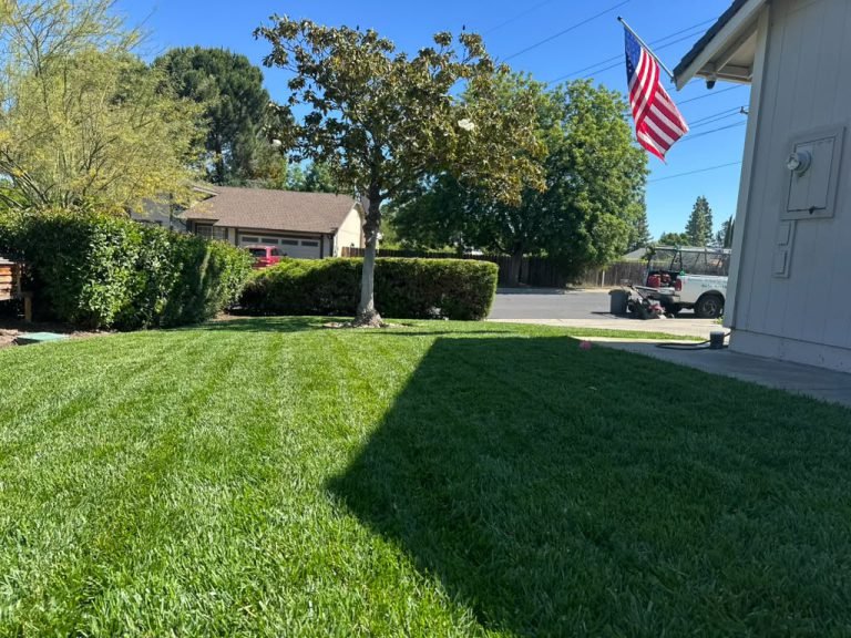 Landscaping project by HC Gardening & Landscaping in the East Bay Area