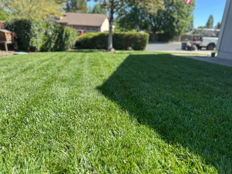 Landscaping project by HC Gardening & Landscaping in the East Bay Area