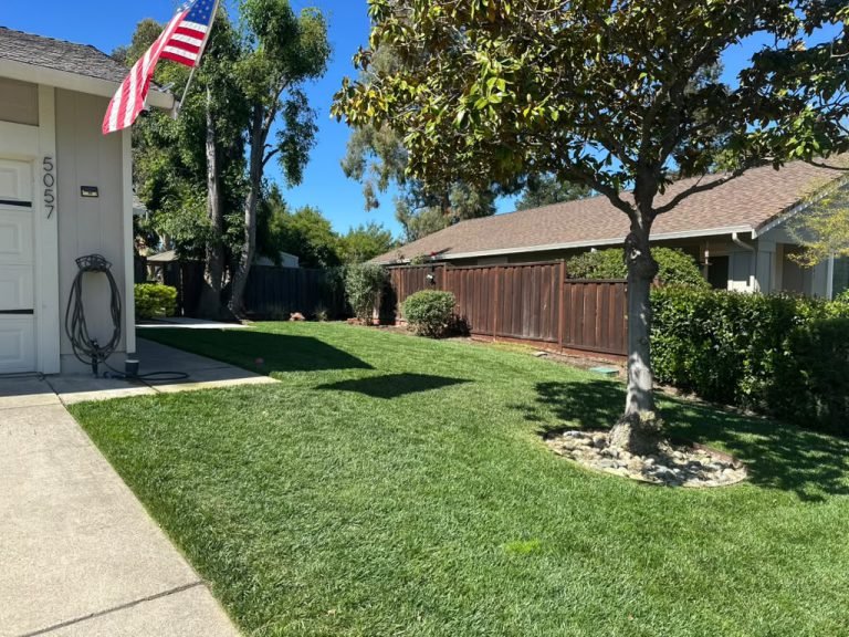 Landscaping project by HC Gardening & Landscaping in the East Bay Area