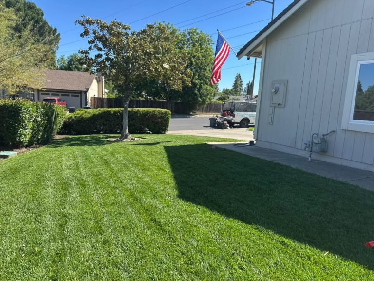 Landscaping project by HC Gardening & Landscaping in the East Bay Area