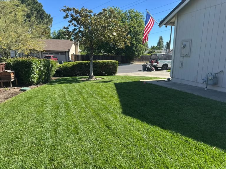 Landscaping project by HC Gardening & Landscaping in the East Bay Area